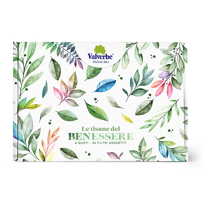 Tisane del Benessere Multigusto Bio Valverbe 51g - 36 Filtri